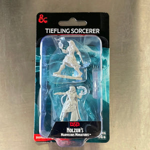 D&D Miniatures: Tiefling Sorcerer