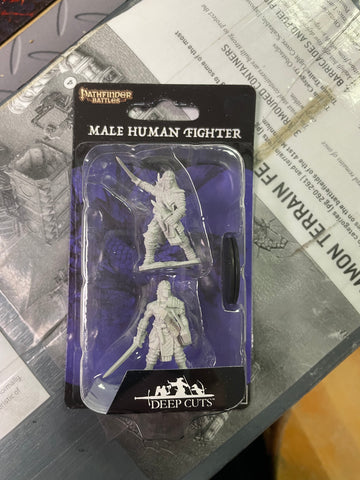 D&D Miniatures: Male Human Fighter