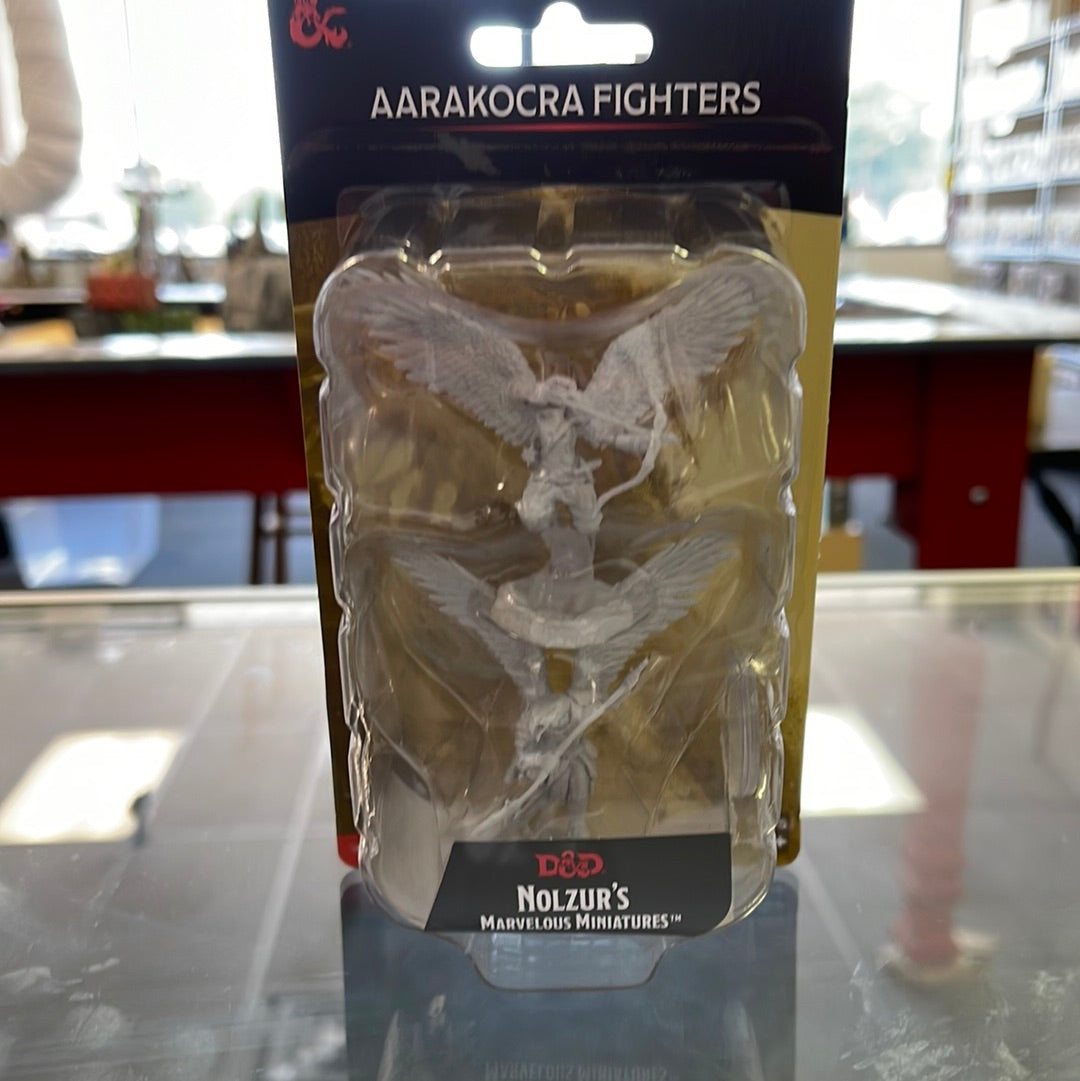 Aarakocra Fighters