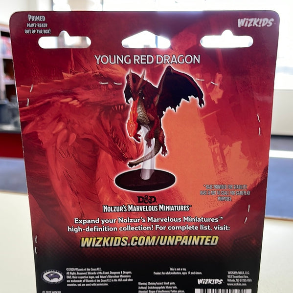 Young Red Dragon